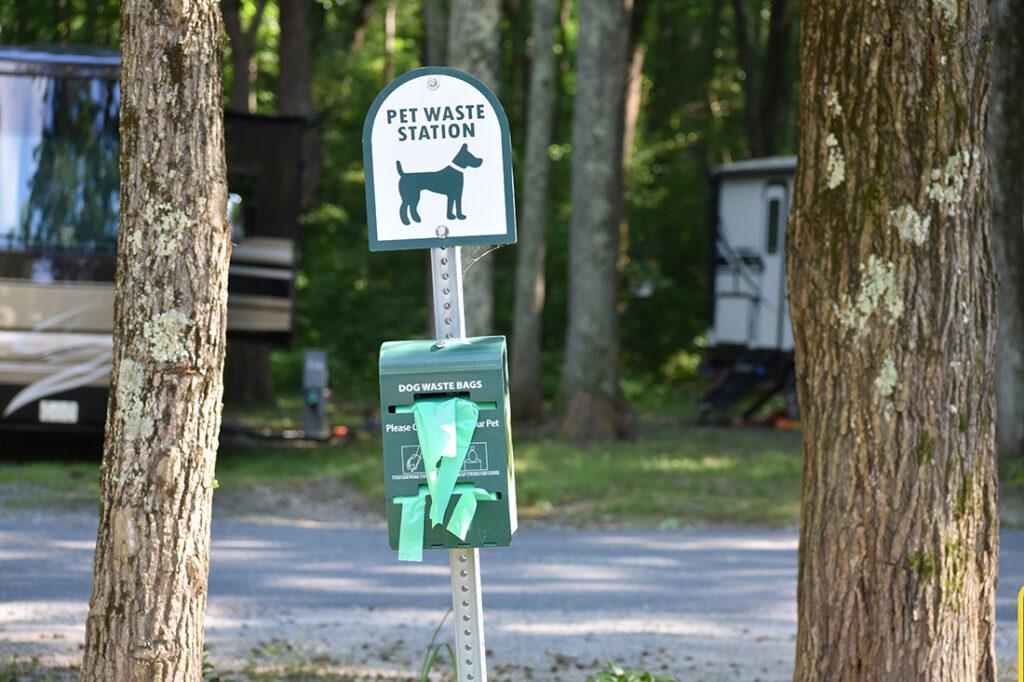 Eco-Friendly Dog Ownership
