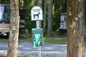 Eco-Friendly Dog Ownership