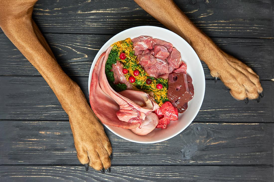 Read more about the article The Benefits of a Raw Food Diet for Dogs