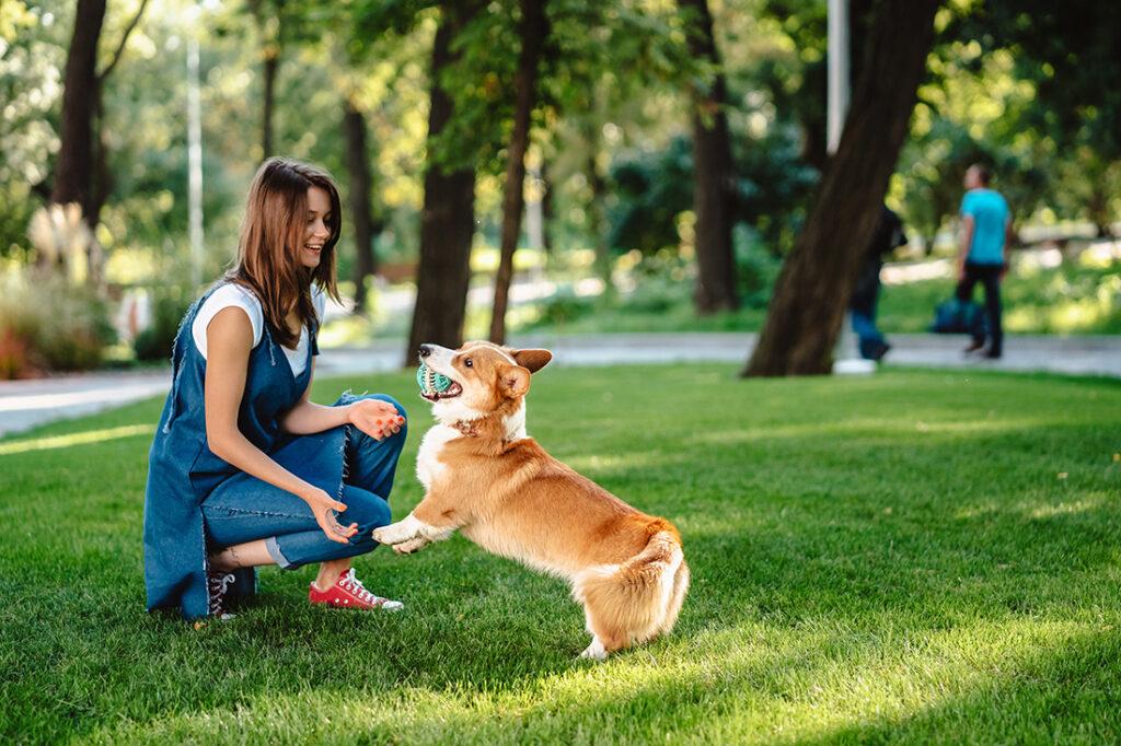 The Pros and Cons of Dog Parks