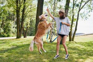 2025-01-–-Winding-Road-Kennel–BLOGMR5.2-Playtime-with-Your-Dog