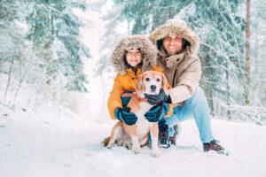 Winter Safety Tips for Pet
