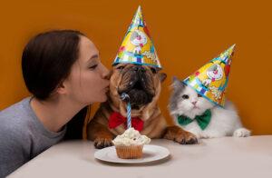 Celebrating a Pet's Birthday